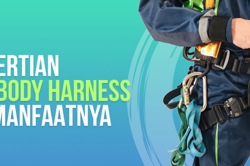 Pengertian Dan Manfaat Full Body Harness  