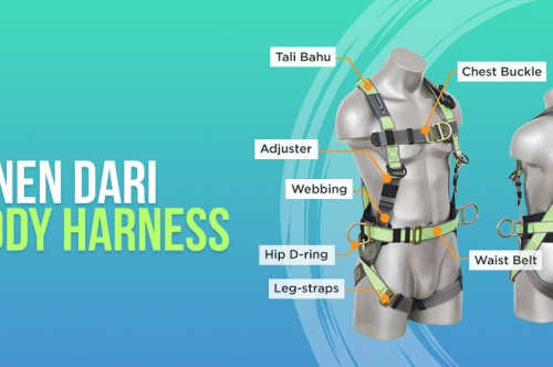 Komponen-Komponen Dari Full Body Harness 
