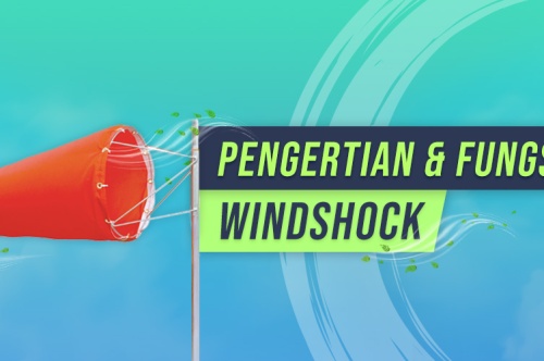 Windsock Adalah: Pengertian dan Fungsi Dalam K3 